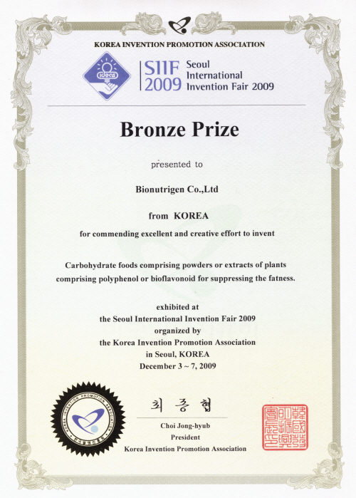 International Invention Fair Bronze Prize 2009
