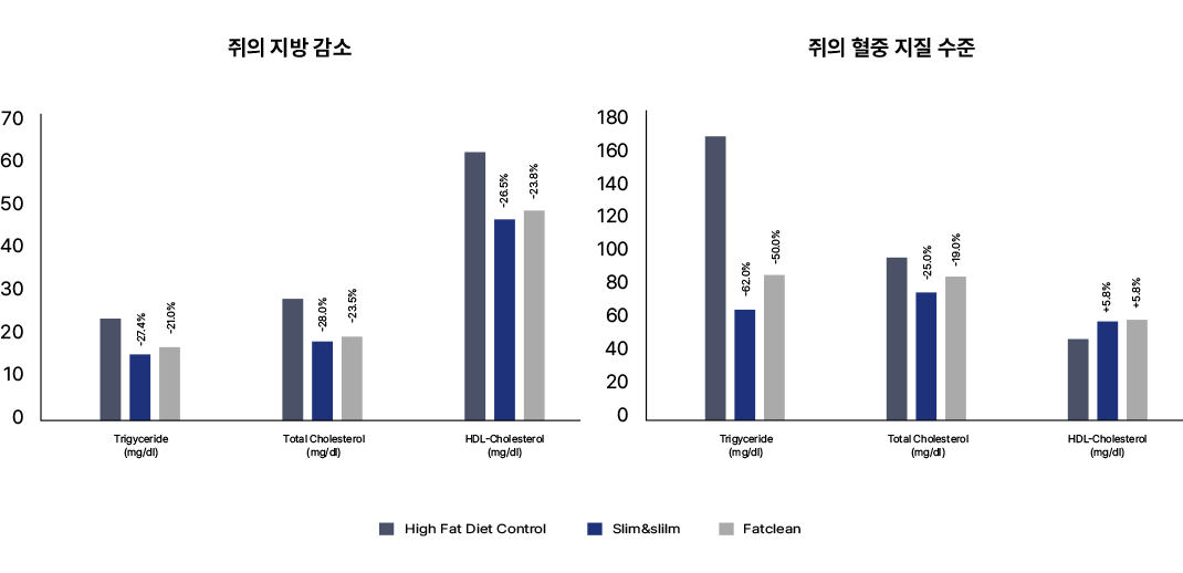 쥐의 지방 감소