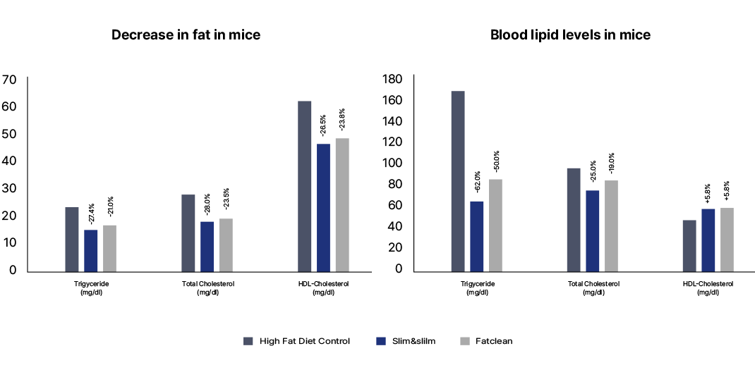쥐의 지방 감소